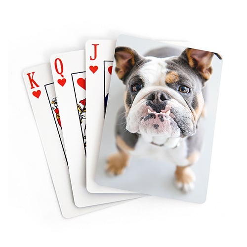 picture of a dog on custom playing cards